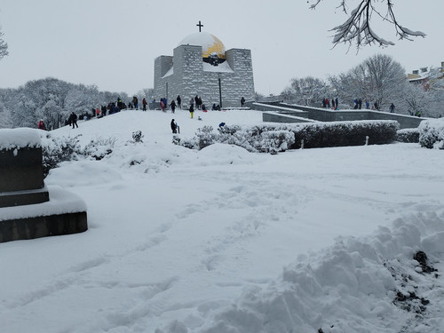 IMG 20260111 134436.jpg