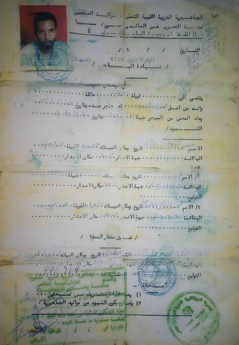 file 486.jpg