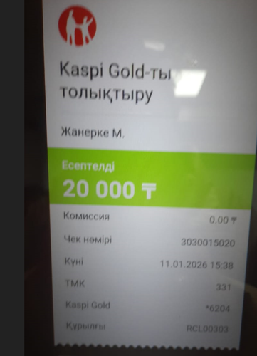 Береке ханым Онлайн разбор.png