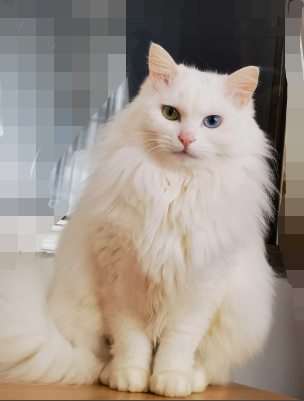 IMG 20260112 142438.png
