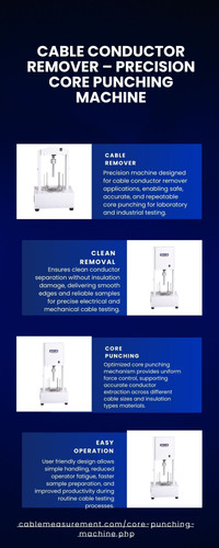 Blue Modern Business Infographic (1).pdf.jpg