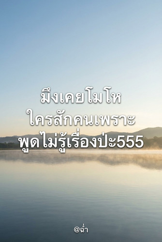 243051daa6d4.jpg