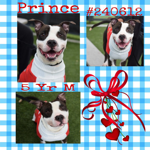 G WE8taWEAA2cXZ?format=jpg.jpg