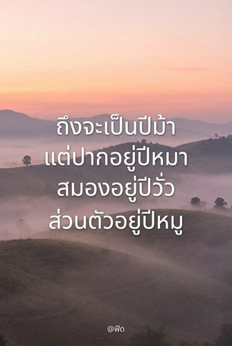 f90983d856a2.jpg