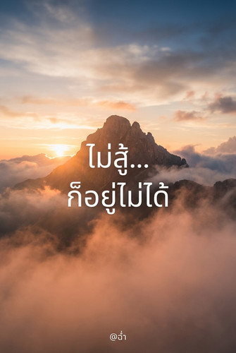 214091388c20.jpg