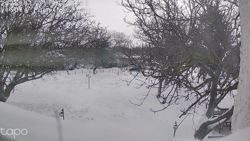 782051226B8E 20260111094558741 cam0.jpg