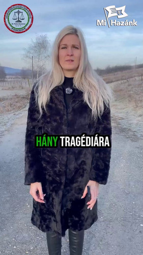 Zqz 2CqWyJyLbElZ.jpg