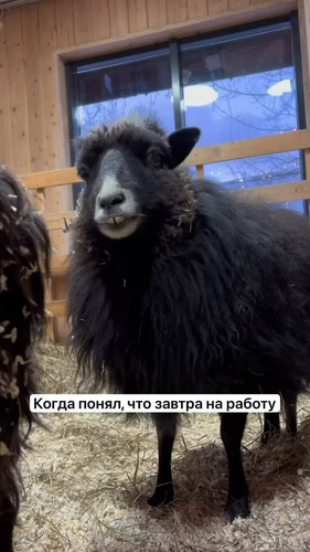 EGJRaDXvSFkEVAKR.jpg