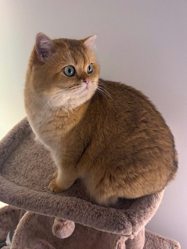 G XioV8asAEYOK ?format=jpg.jpg