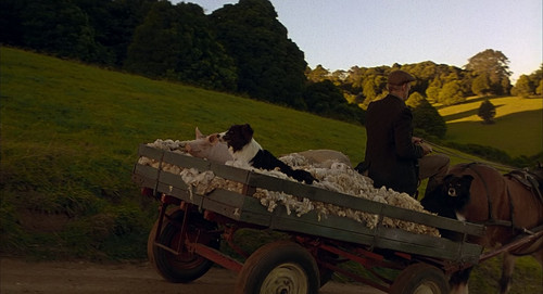 Babe.1995.1080p.BluRay.CZ EN.DTS HD.MA5.1.x265 My.mkv 20260111 104340.396