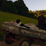 Babe.1995.1080p.BluRay.CZ EN.DTS HD.MA5.1.x265 My.mkv 20260111 104340.396