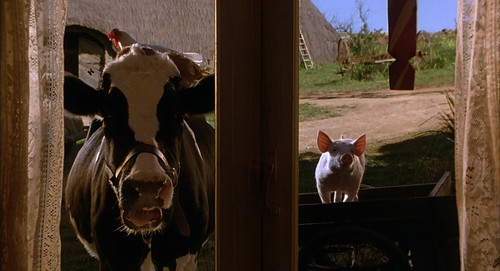 Babe.1995.1080p.BluRay.CZ EN.DTS HD.MA5.1.x265 My.mkv 20260111 104332.926.jpg
