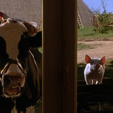 Babe.1995.1080p.BluRay.CZ EN.DTS HD.MA5.1.x265 My.mkv 20260111 104332.926