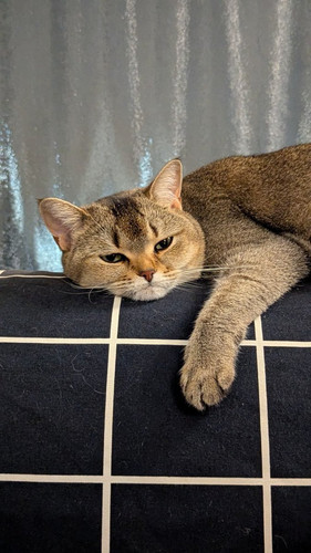 G UVW8tWoAAUhbI?format=jpg.jpg