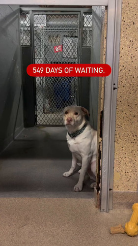 gRUtM m cjyHNDRq.jpg