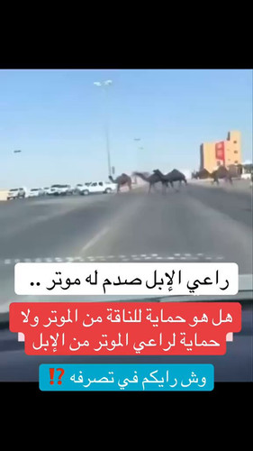 fuMymta d N3RusX.jpg