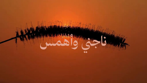 3 zPvI fSDnhffl1.jpg