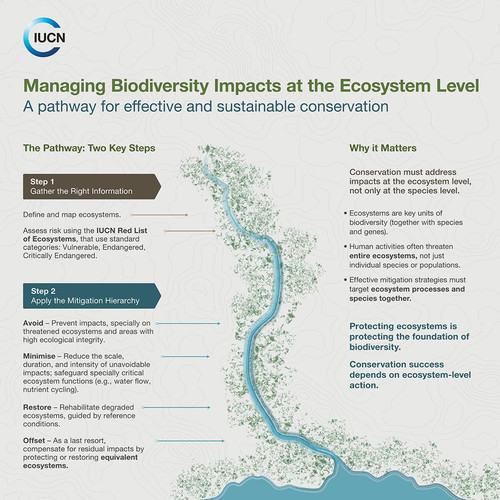G eZJxVXwAATdZT?format=jpg.jpg
