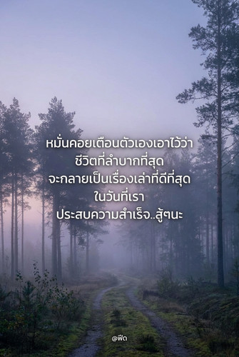 535a50c3f916.jpg