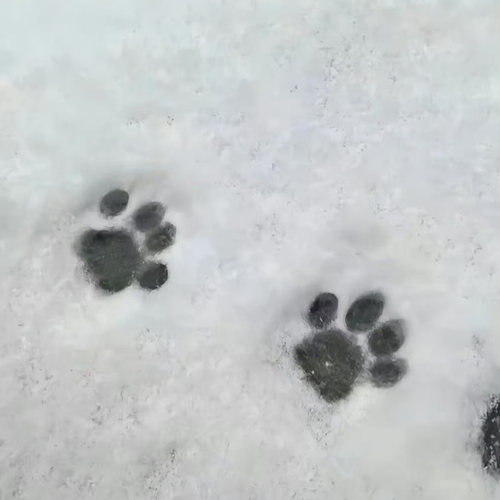 无标题1527 20260112144303.png