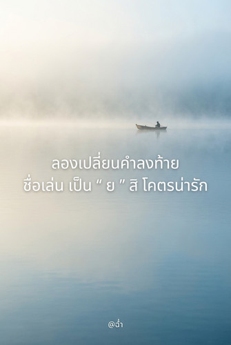 d53c6e4f0333.jpg