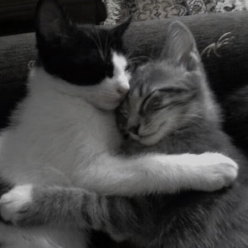 IMG 20260112 143637.jpg