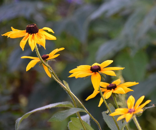 G ZOPKUXsAAHbAi?format=jpg.jpg