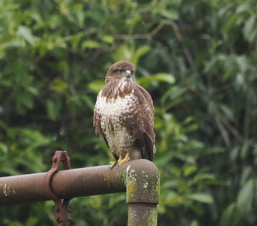 G ch9xrXgAAIr9i?format=jpg.jpg