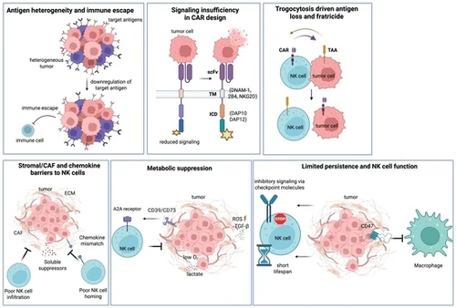 G UeGAOXsAA0qNs?format=png.png