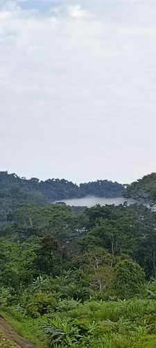 G cNiI WgAApFGU?format=jpg.jpg