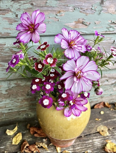 G crwaGXcAArpuc?format=jpg.jpg