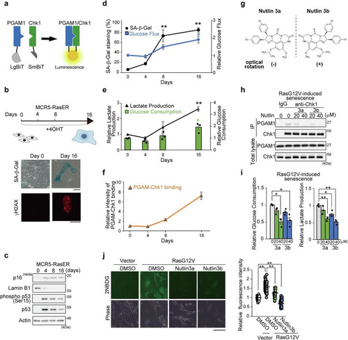 G BB3JkX0AAaUV0?format=jpg.jpg