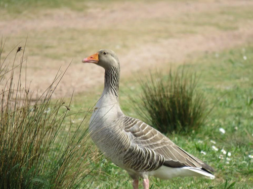 G c02z7WYAAHwRw?format=jpg.jpg