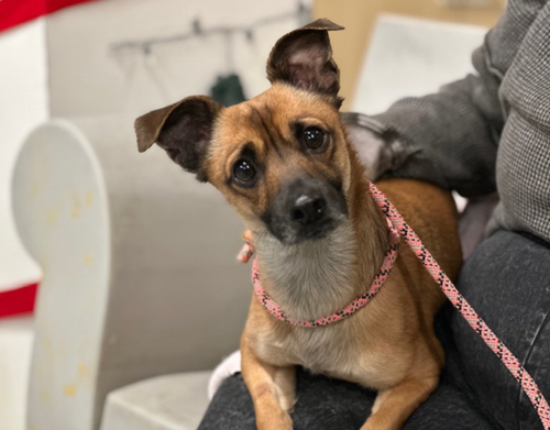 G Lgbs6awAAuPBU?format=png.png