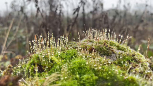 WN7ly Oy2JBuov0c.jpg