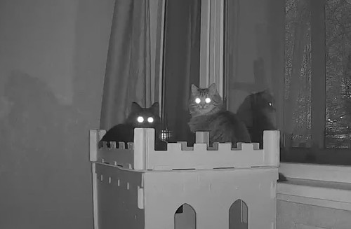 G cGMIGXUAAr e9?format=jpg.jpg