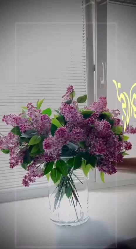 1 jzCLosvD5Ff0in.jpg