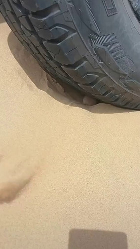 n3M5ZlqSSU2Q 0SQ.jpg