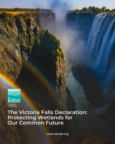 G c9Q3YW0AAobok?format=jpg.jpg