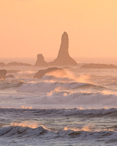 G aelMjaQAArjY0?format=jpg.jpg