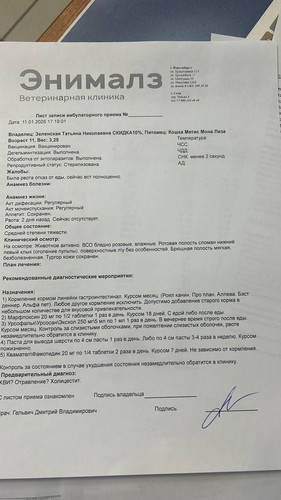 G ZOC6RXIAA2sQ7?format=jpg.jpg