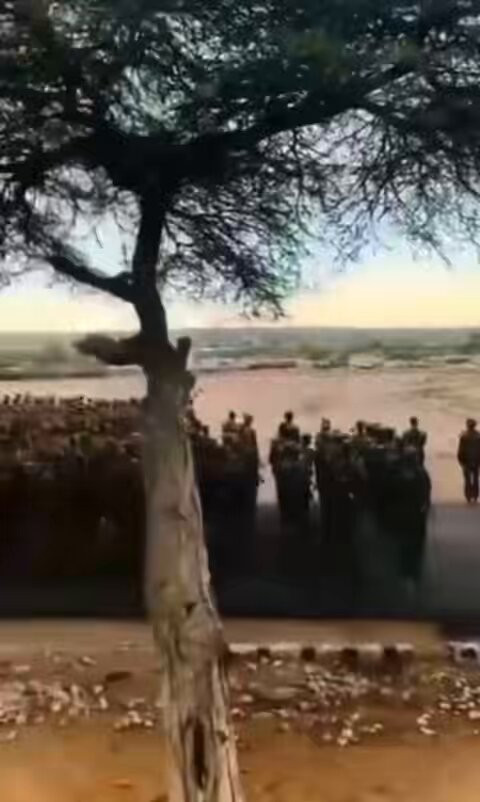 kowWqvZ TGW9dACw.jpg