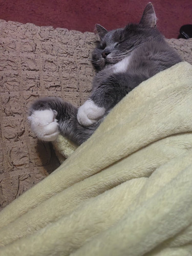 G cXUpzWkAArYvX?format=jpg.jpg