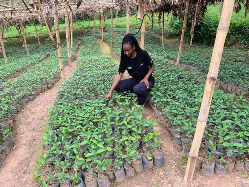 G cPmRuWwAAHlmh?format=jpg.jpg