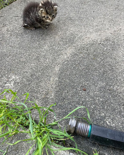 G ZqunxWsAACLuZ?format=jpg.jpg