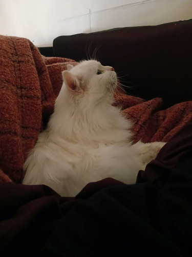 G XVpVPX0AAj3SF?format=jpg.jpg