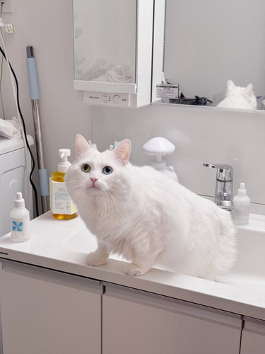 G caDsQboAEODpV?format=jpg.jpg