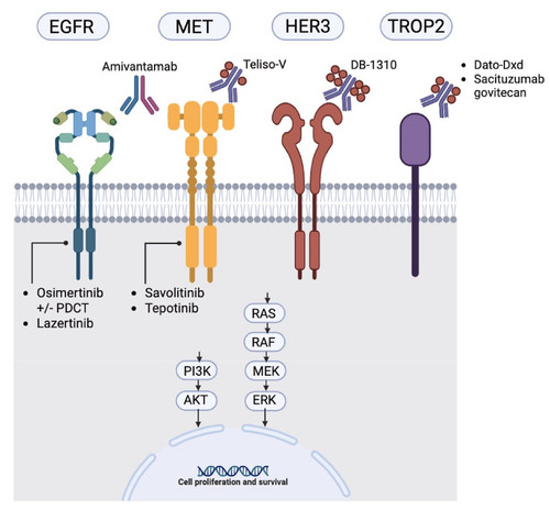 G WJpbfasAE8x1c?format=jpg.jpg