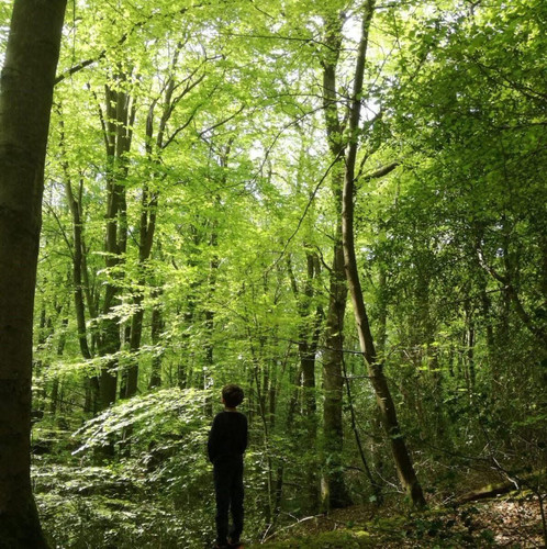 G XdnVRXAAAwc9P?format=jpg.jpg