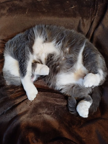 G ZrH1pWAAAI1vX?format=jpg.jpg